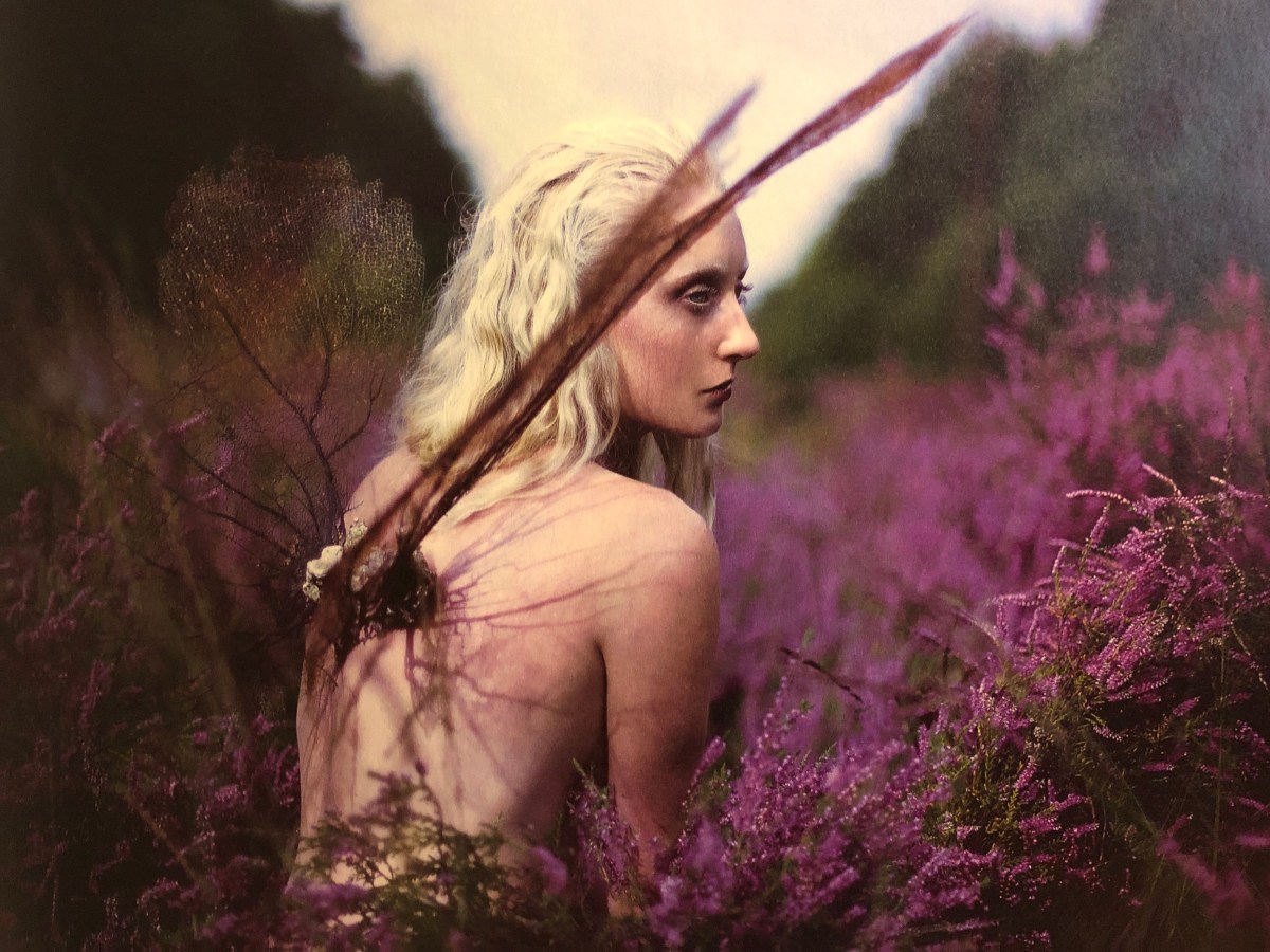 Agosto – Le ali&nbsp;cadute